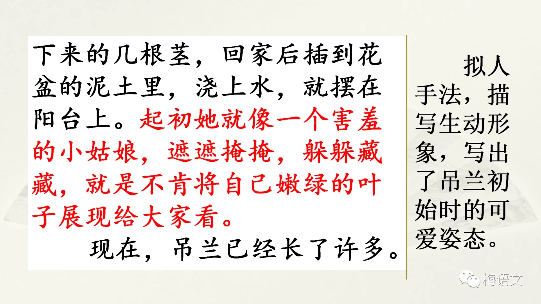 哪里有适合初学者的篮球训练管理指南_2